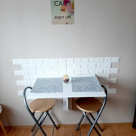Zvezda Apartment Soko Banja